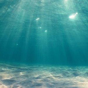 Meet your Posher, Ari